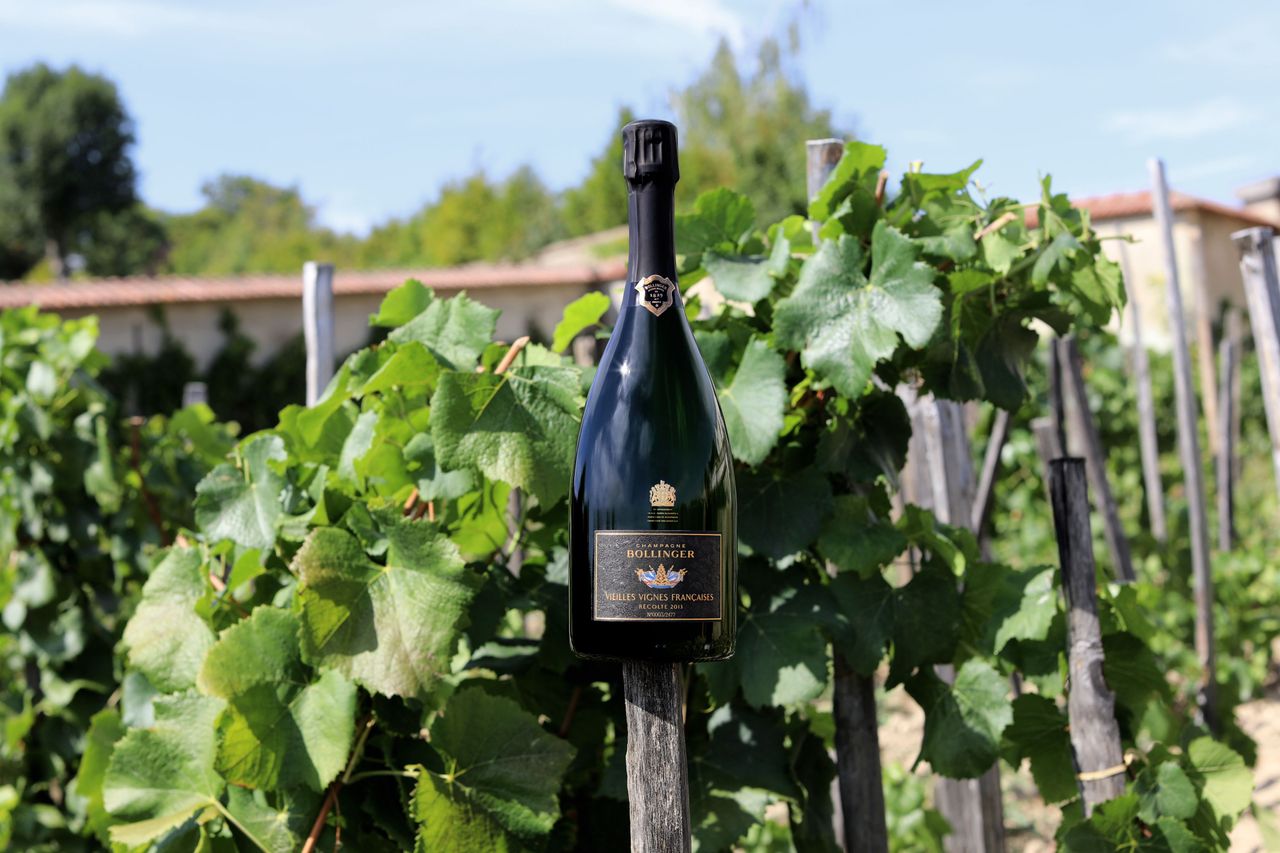 Vieilles Vignes Françaises 2013 | Champagne Bollinger