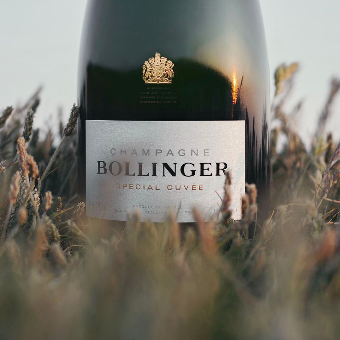 Bollinger_site_contrib_SCSC_ContentEdito_02.jpg